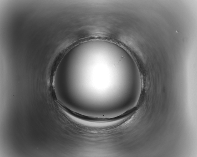 X0000089411261200706221129