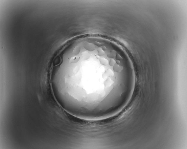 X0000089411263200706221129