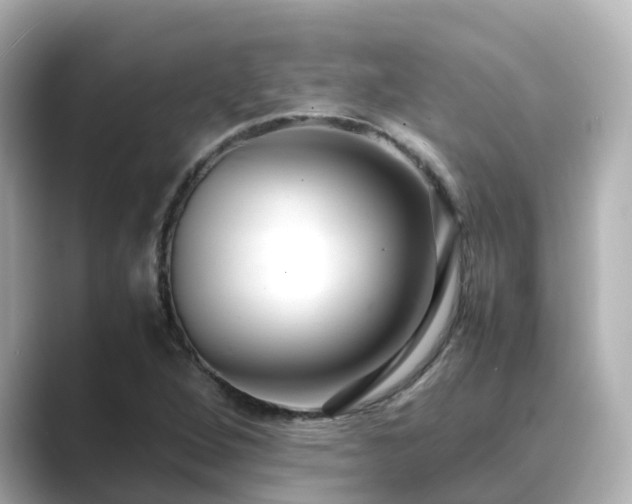 X0000089411264200706221129
