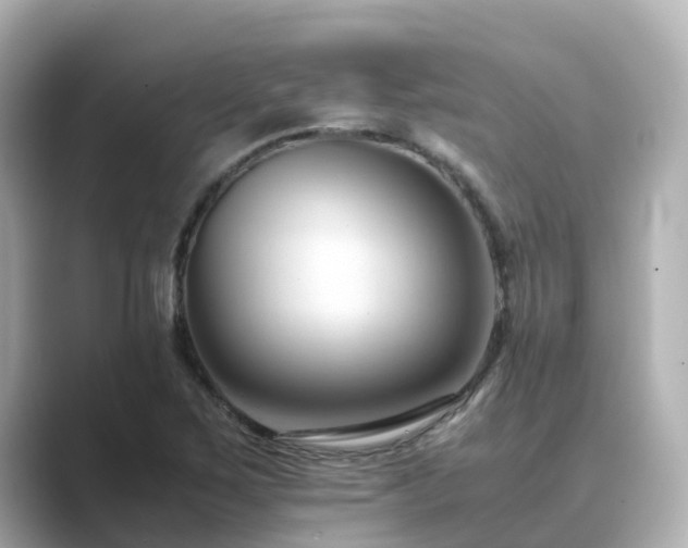 X0000089411267200706221129
