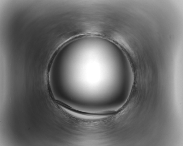 X0000089411268200706221129