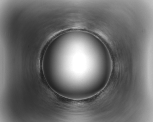 X0000089411270200706221129