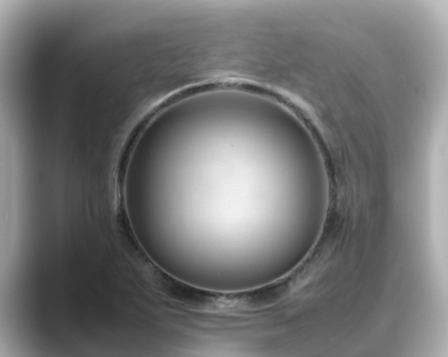 X0000089411271200706221129
