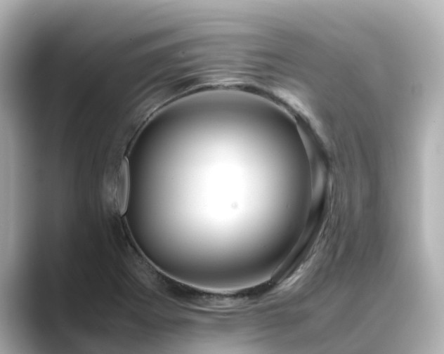 X0000089411273200706221129