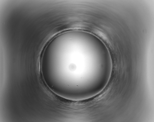 X0000089411275200706221129