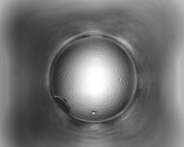 X0000089411279200706221129