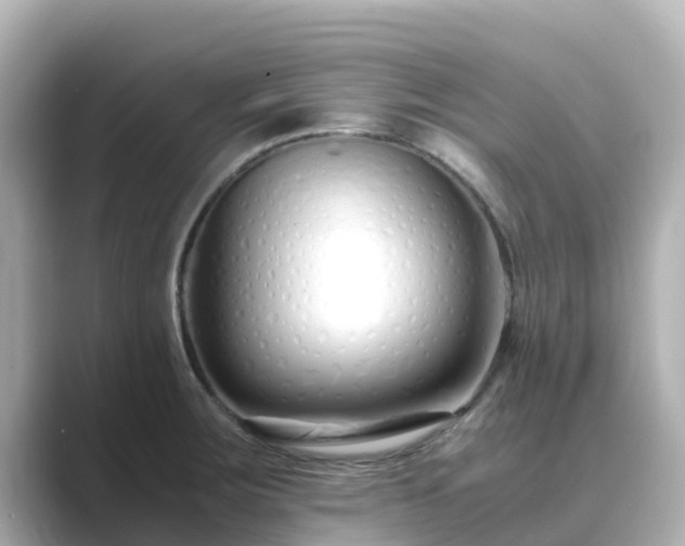 X0000089411283200706221129