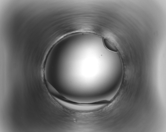 X0000089411284200706221129