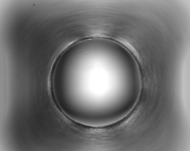 X0000089411285200706221129