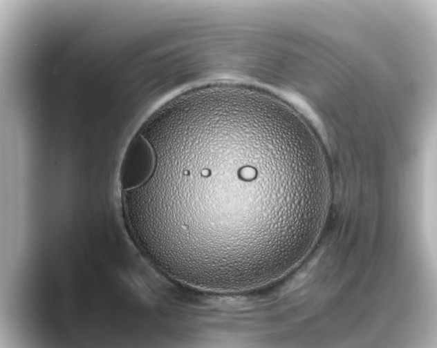 X0000089411287200706221129
