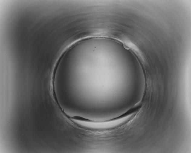 X0000089411288200706221129