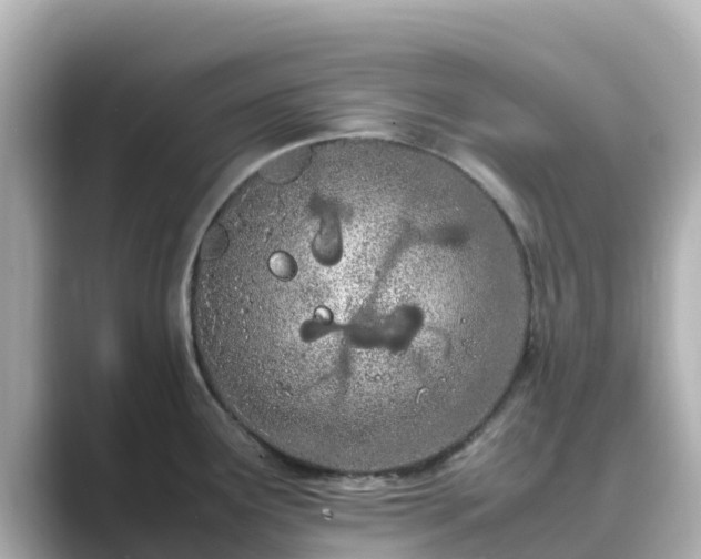 X0000089411291200706221128