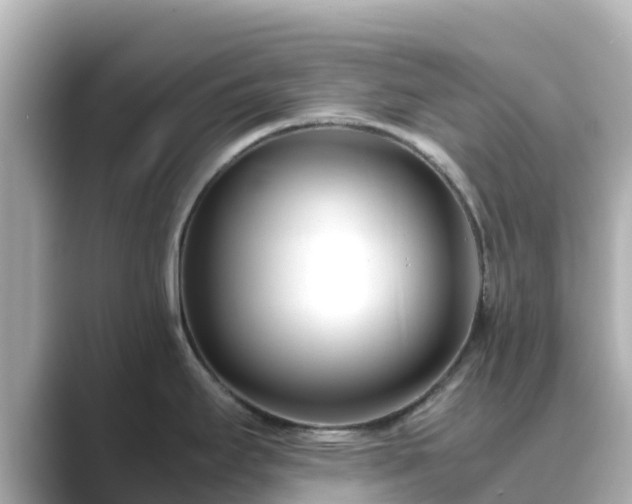 X0000089411295200706221128