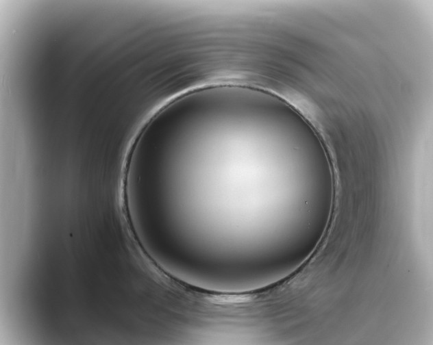 X0000089411296200706221128