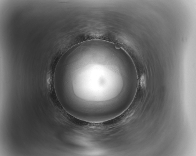 X0000089411299200706221128