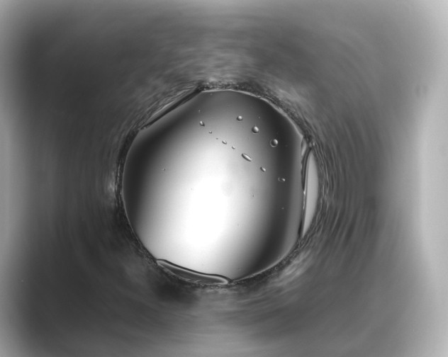 X0000089411300200706221128