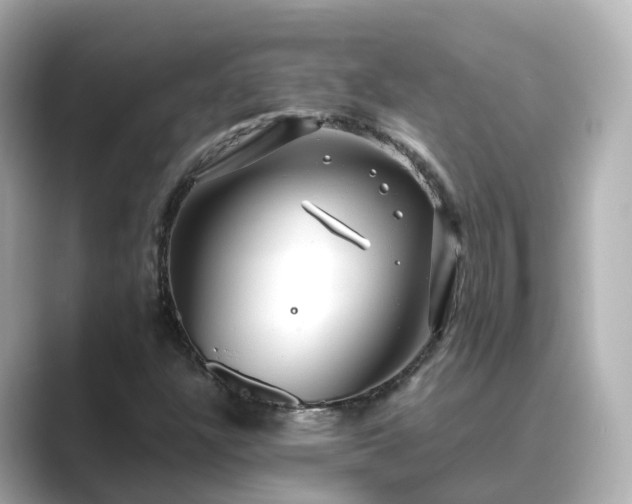X0000089411304200706221128