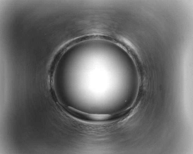 X0000089411310200706221128