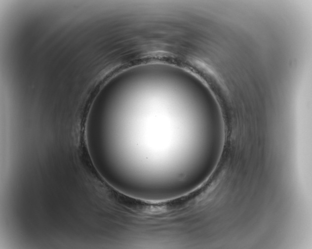 X0000089411313200706221128