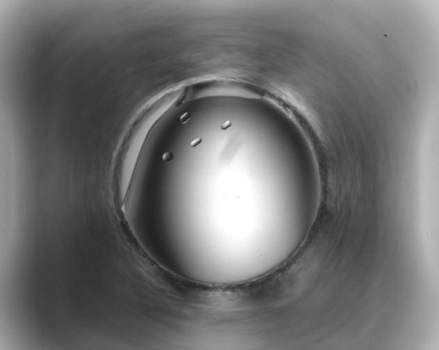X0000089411316200706221128
