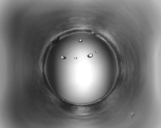 X0000089411318200706221128