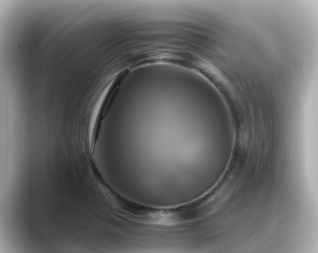 X0000089411321200706221128