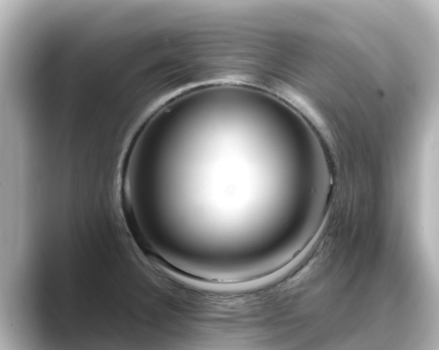 X0000089411332200706221128