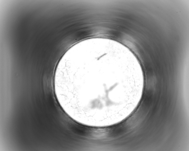 X0000089411338200706221128