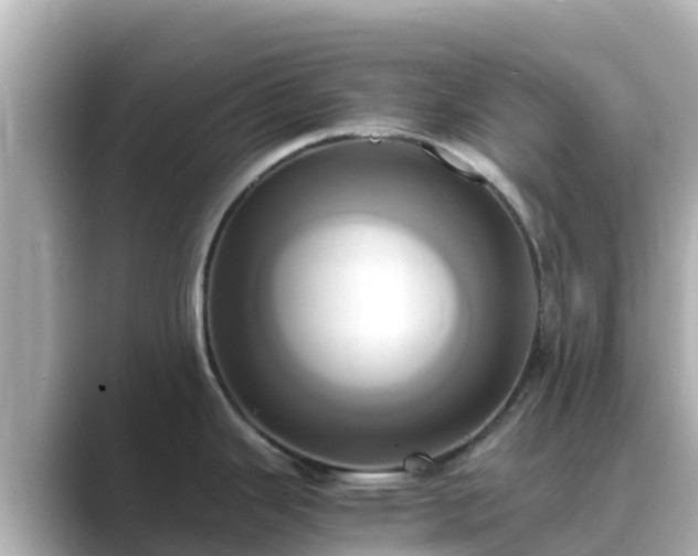 X0000089411343200706221128