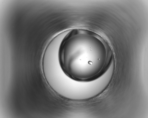 X0000089411344200706221128