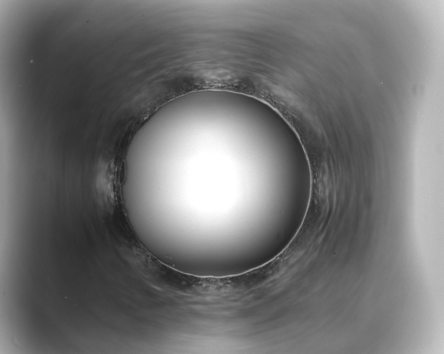 X0000089411346200706221128