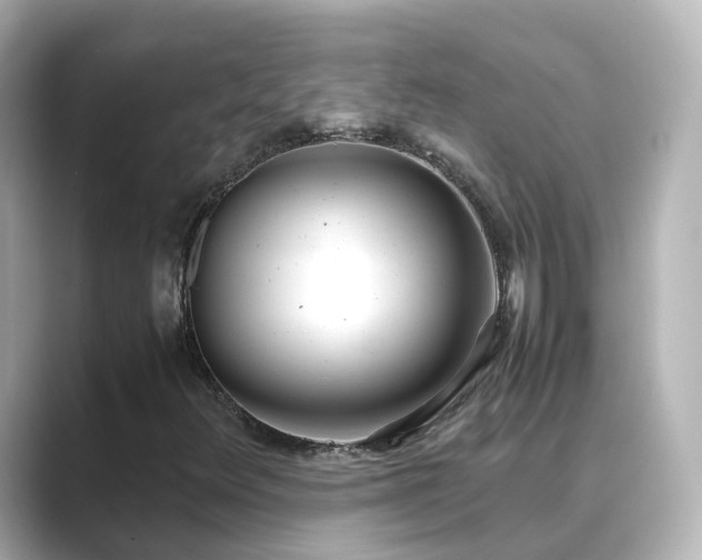 X0000089411348200706221128