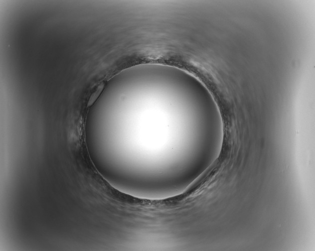 X0000089411349200706221128
