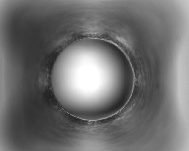 X0000089411350200706221128