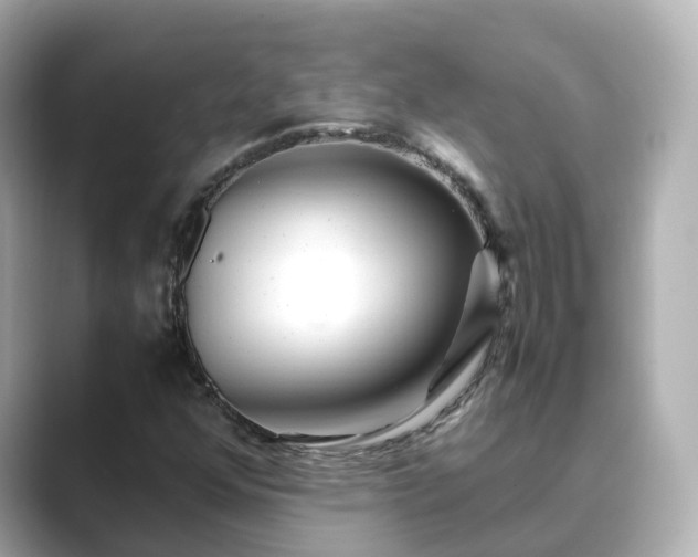 X0000089411352200706221128