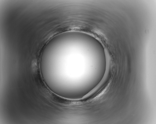X0000089411353200706221128