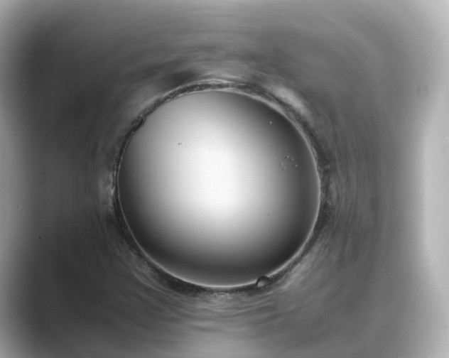 X0000089411355200706221128