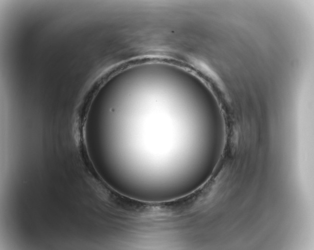 X0000089411360200706221128