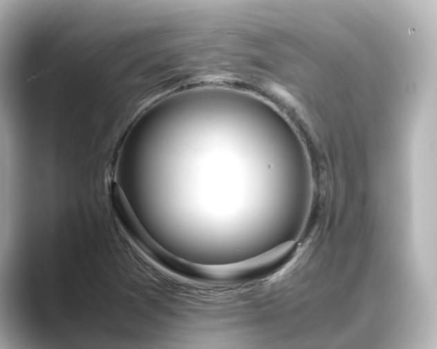 X0000089411361200706221128