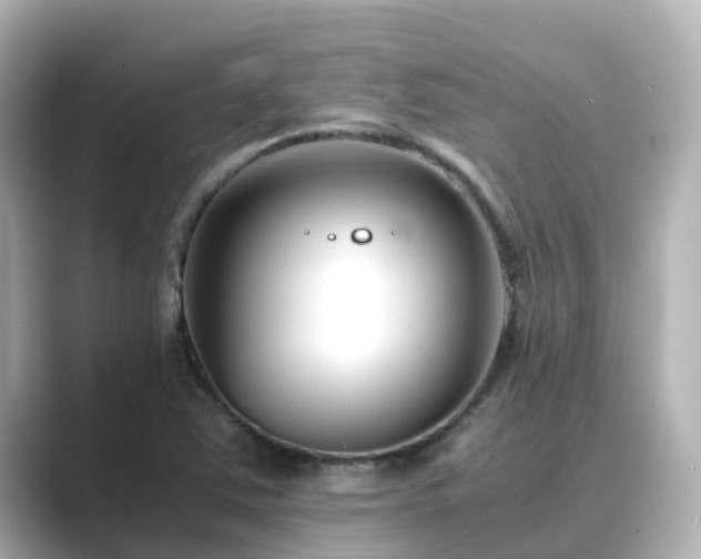 X0000089411363200706221128