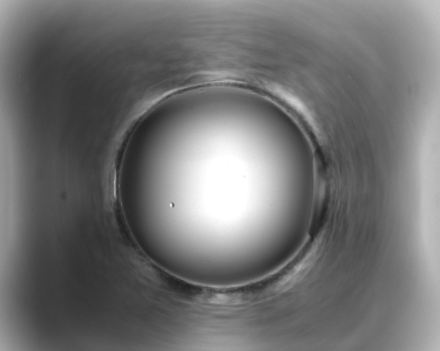 X0000089411365200706221128