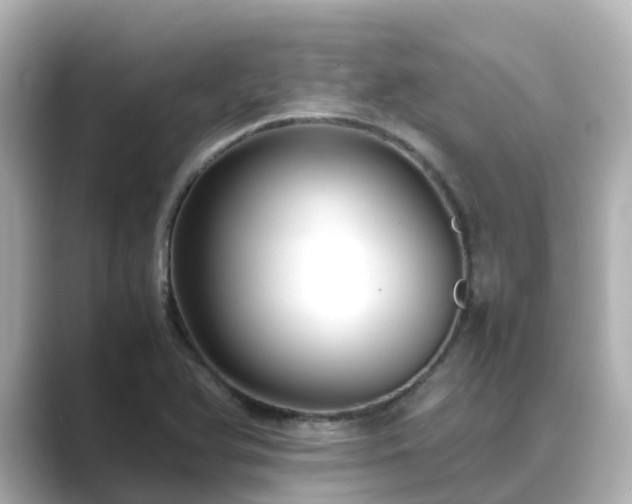 X0000089411366200706221128