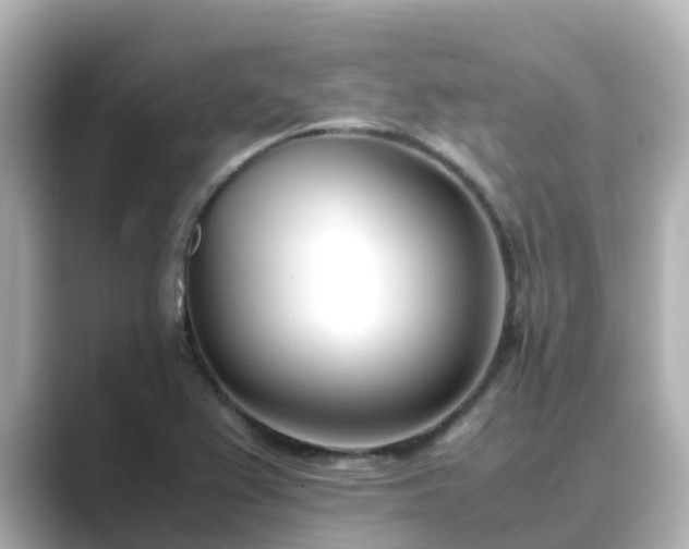 X0000089411367200706221128