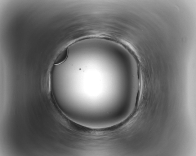 X0000089411371200706221128