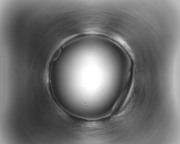 X0000089411376200706221127