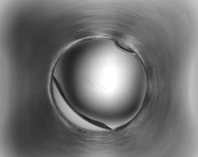 X0000089411379200706221127