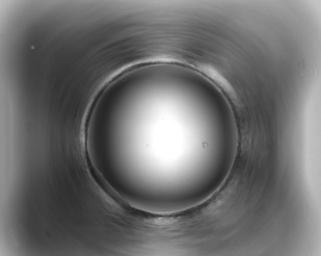 X0000089411380200706221127