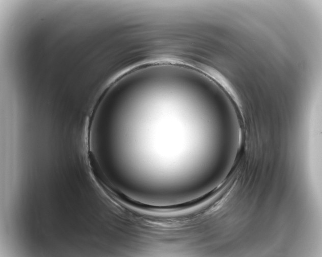 X0000089411388200706221127