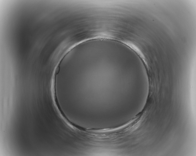 X0000089411391200706221127