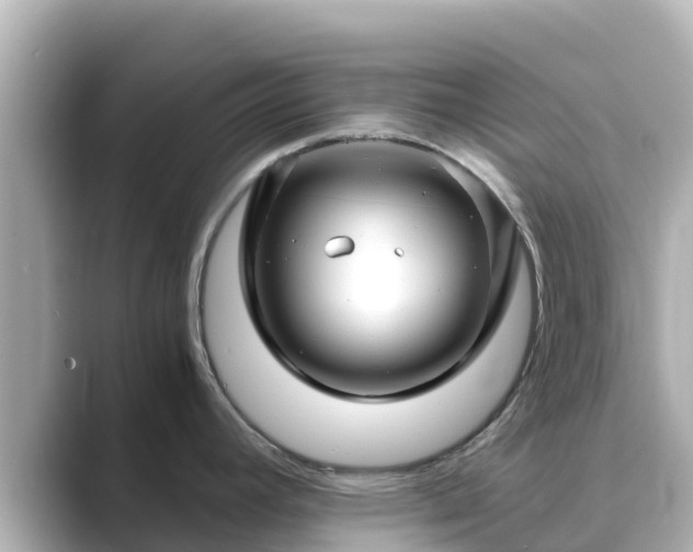 X0000089411392200706221127